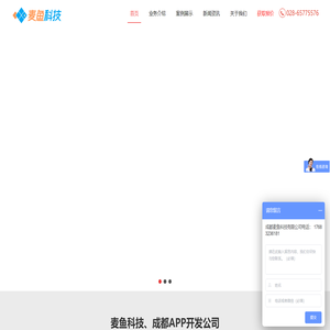 成都APP开发公司,APP定制,软件外包,小程序开发公司【麦鱼科技】